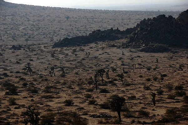 DSC 5000  scaled 1024