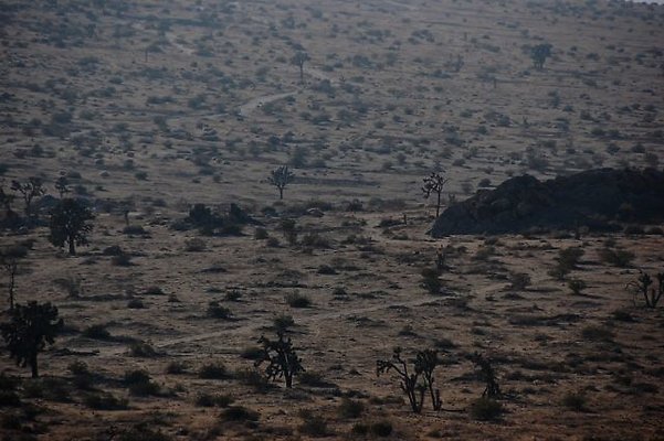 DSC 4999  scaled 640