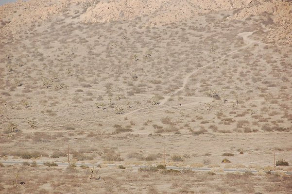 DSC 5012  scaled 1024