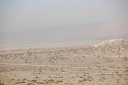 DSC 5010  scaled 256