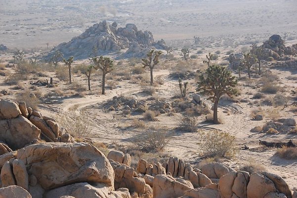 DSC 4997  scaled 1024