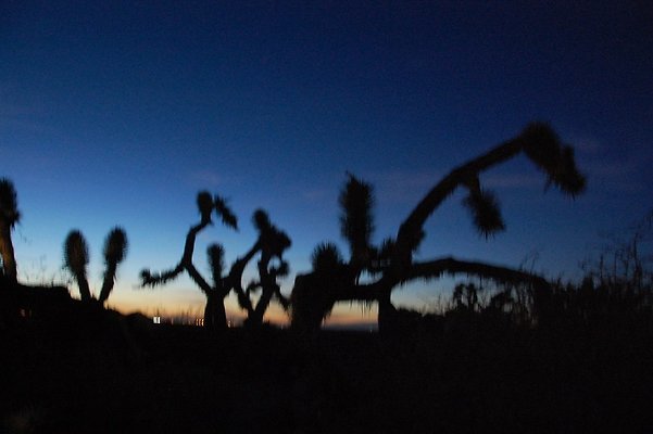 DSC 4050  scaled 1024