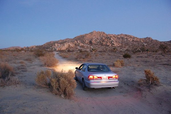 DSC 4008  scaled 1024