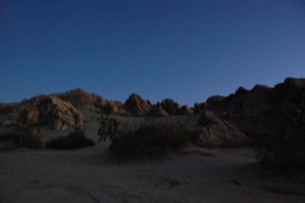 DSC 4040  scaled 1024