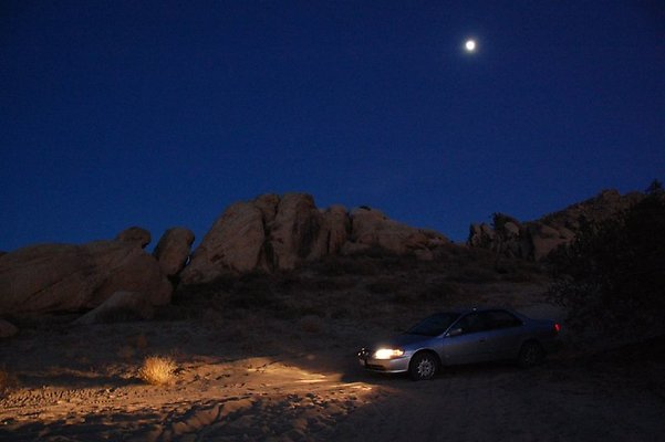 DSC 4015  scaled 1024