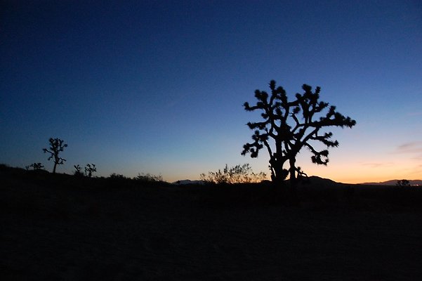 DSC 4023  scaled 1024