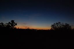 DSC 4043  scaled 256