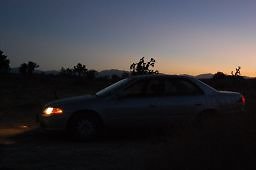 DSC 4013  scaled 256