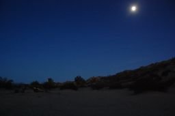 DSC 4045  scaled 256