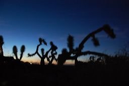 DSC 4050  scaled 256