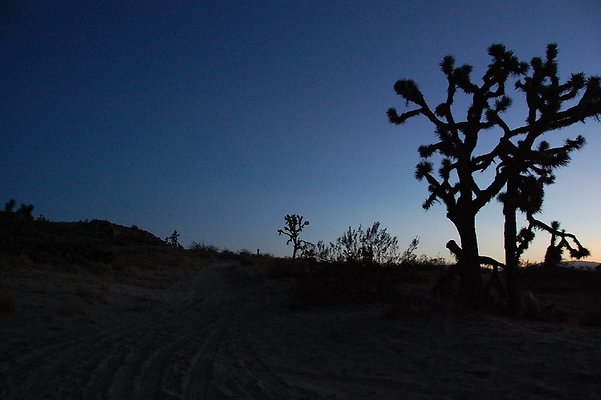 DSC 4024  scaled 1024