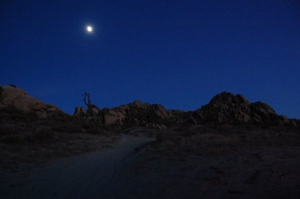 DSC 4019  scaled 640