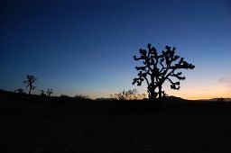 DSC 4023  scaled 256