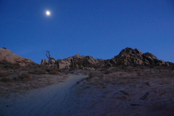 DSC 4021  scaled 640