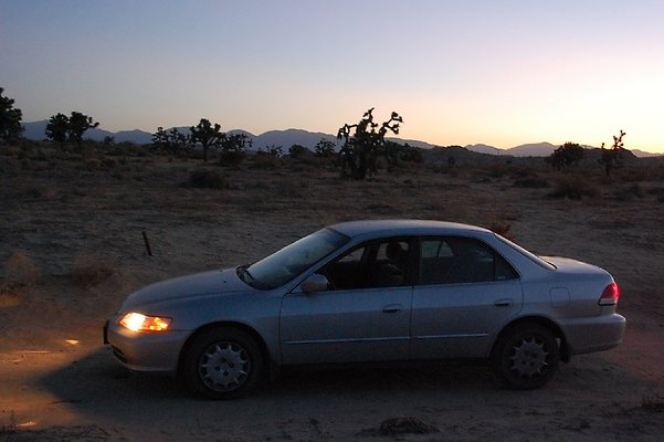 DSC 4014  scaled 1024