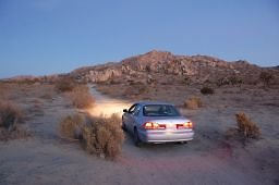 DSC 4008  scaled 256