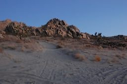 DSC 4026  scaled 256