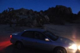 DSC 4054  scaled 256