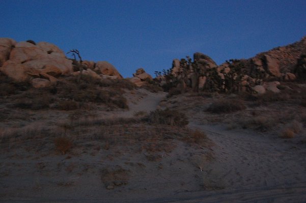 DSC 4032  scaled 1024