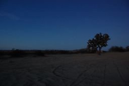 DSC 4037  scaled 256