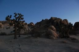 DSC 4035  scaled 256