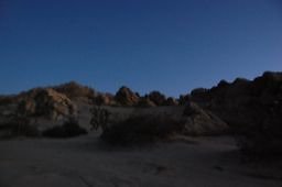 DSC 4040  scaled 256