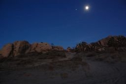 DSC 4031  scaled 256