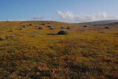 DSC 8271  scaled 400