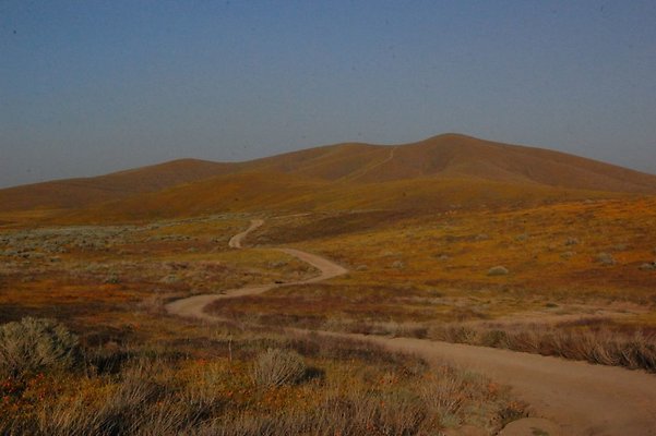 DSC 8268 hero  scaled 1024