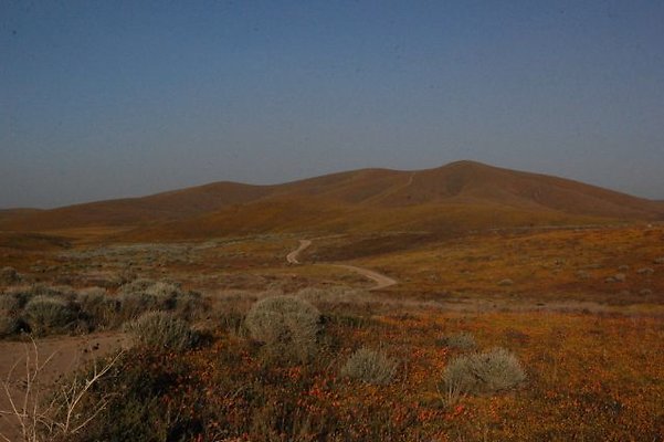 DSC 8263  scaled 640