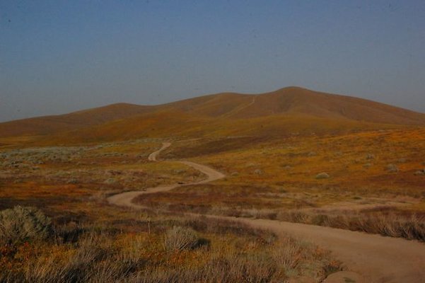 DSC 8268 hero  scaled 640