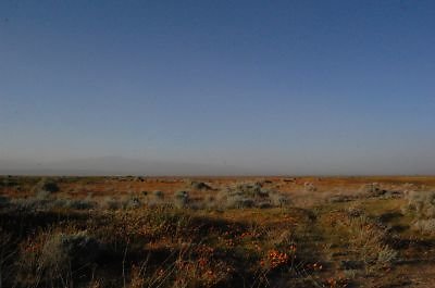 DSC 8266  scaled 400