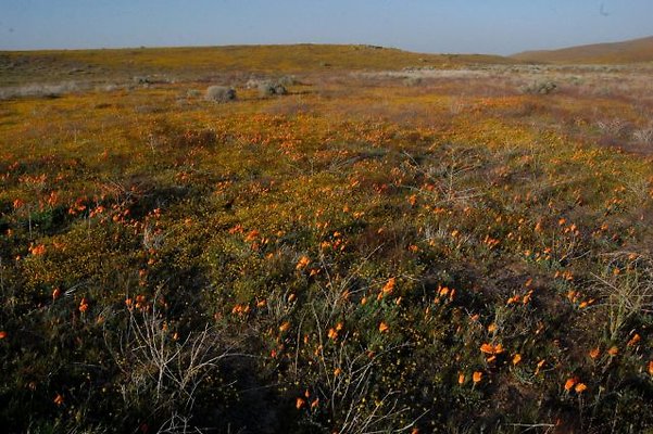 DSC 8270  scaled 640