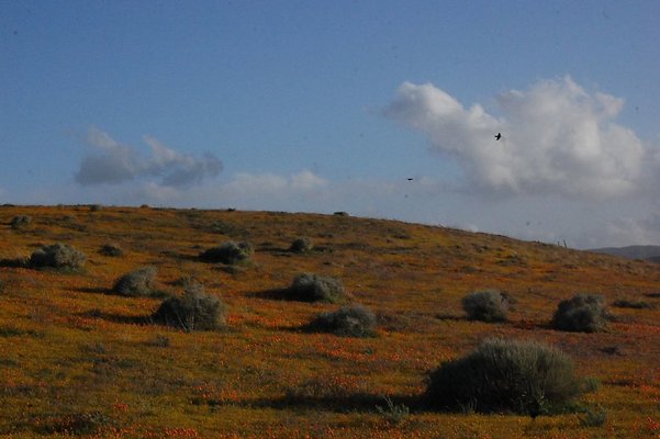 DSC 8272  scaled 1024