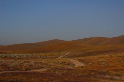 DSC 8278  scaled 400