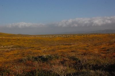 DSC 8265  scaled 400