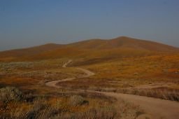 DSC 8268 hero  scaled 256