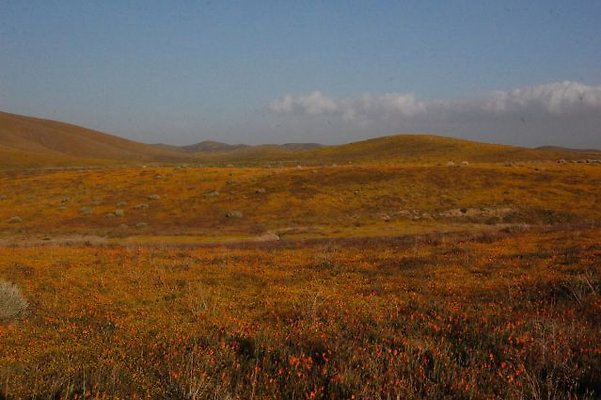 DSC 8264  scaled 640