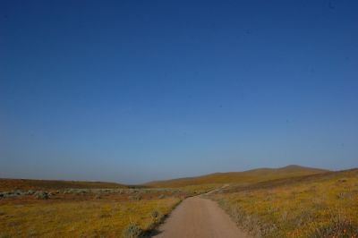 DSC 8273  scaled 400