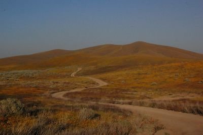 DSC 8268 hero  scaled 400