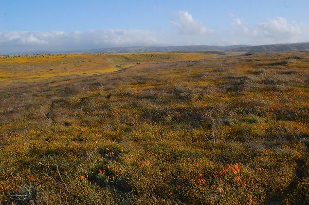 DSC 8282  scaled 640