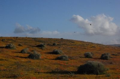 DSC 8272  scaled 400