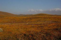 DSC 8264  scaled 256