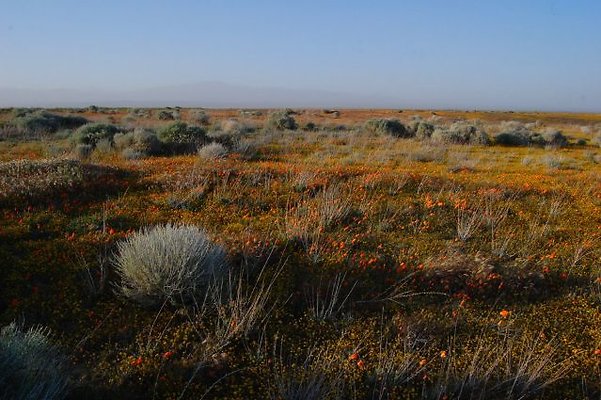 DSC 8283  scaled 640