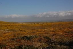 DSC 8265  scaled 256