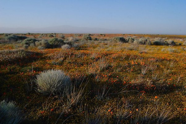 DSC 8283  scaled 1024