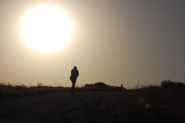 DSC 8280  scaled 640