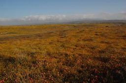 DSC 8267  scaled 256