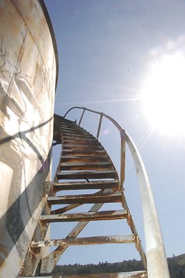 DSC 8196  scaled 640