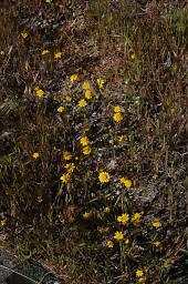 DSC 8203  scaled 256